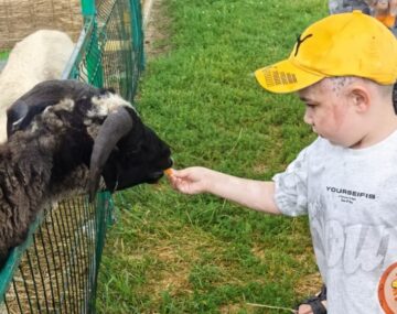 Долгожданный рисунок